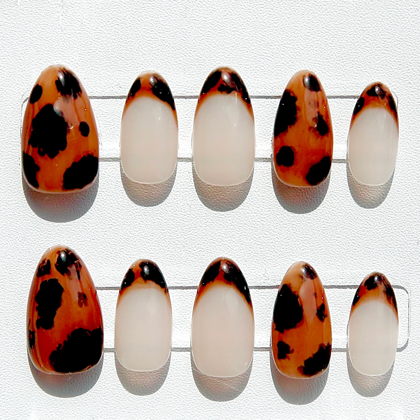 Cabo Tortoiseshell - Almond | Ships from China