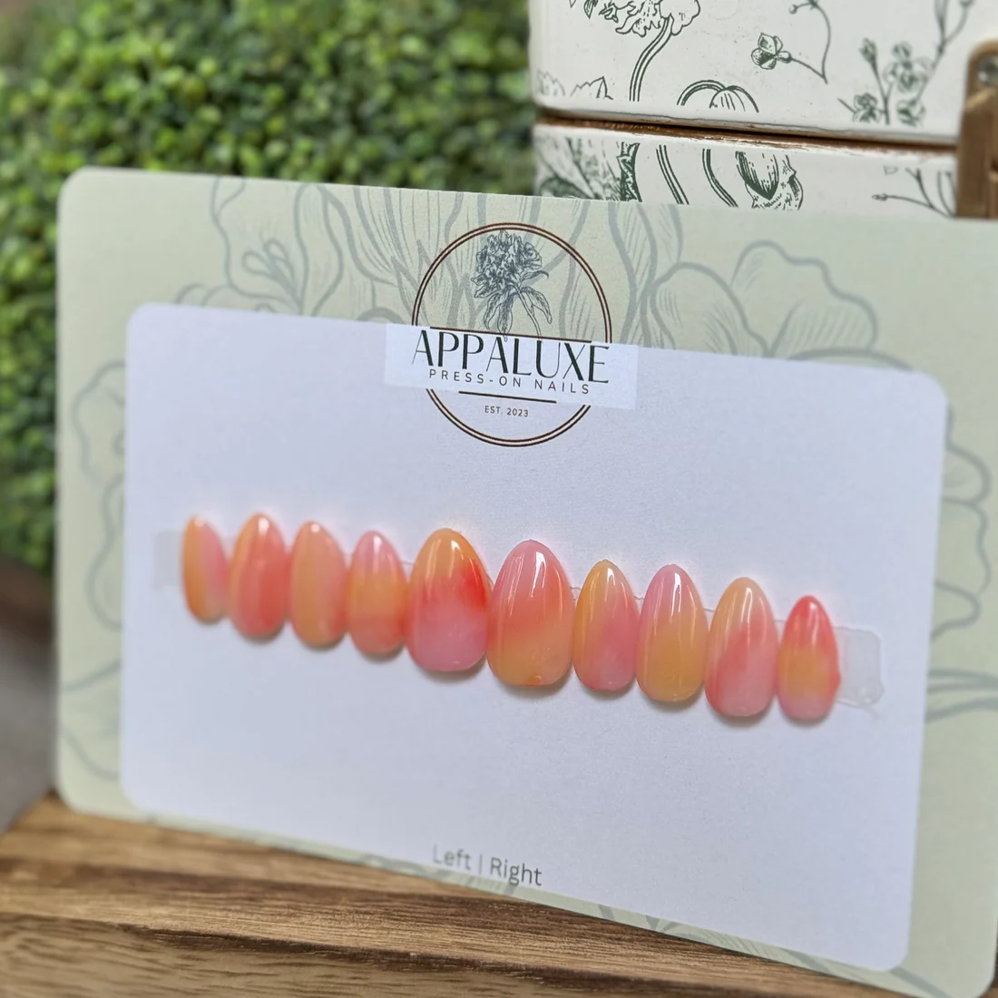 Sherbet - Almond | Ships from USA - Image 2